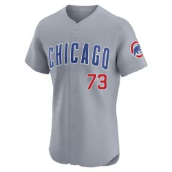 Chicago Cubs Adbert Alzolay Gray Elite Men's Road Player Jersey