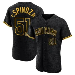 Chicago Cubs Anderson Espinoza Black Authentic Men's Snake Skin City Player Jersey