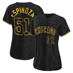 Chicago Cubs Anderson Espinoza Black Authentic Women's Snake Skin City Player Jersey