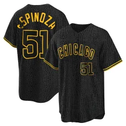 Chicago Cubs Anderson Espinoza Black Replica Men's Snake Skin City Player Jersey