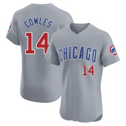 Chicago Cubs Benjamin Cowles Gray Elite Men's Road Player Jersey