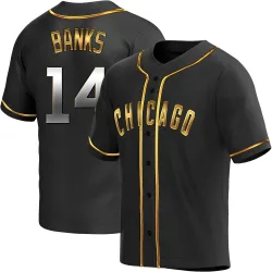 Chicago Cubs Ernie Banks Black Golden Replica Men's Alternate Player Jersey