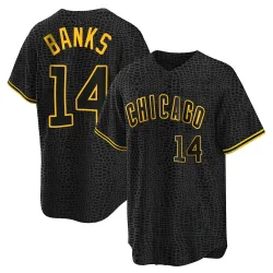 Chicago Cubs Ernie Banks Black Replica Men's Snake Skin City Player Jersey