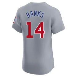 Chicago Cubs Ernie Banks Gray Elite Men's Road Player Jersey