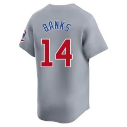 Chicago Cubs Ernie Banks Gray Limited Men's Road Player Jersey