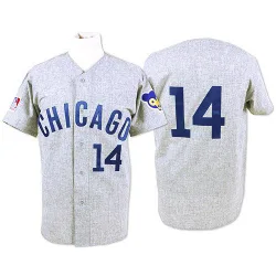 Chicago Cubs Ernie Banks Official Grey Authentic Men's Mitchell and Ness Throwback Player MLB Jersey