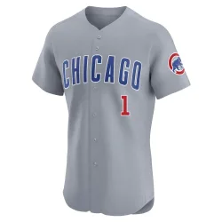 Chicago Cubs Kosuke Fukudome Gray Elite Men's Road Player Jersey