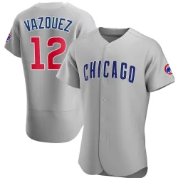 Chicago Cubs Luis Vazquez Gray Authentic Men's Road Player Jersey