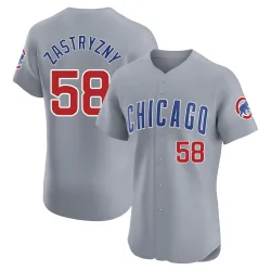 Chicago Cubs Rob Zastryzny Gray Elite Men's Road Player Jersey